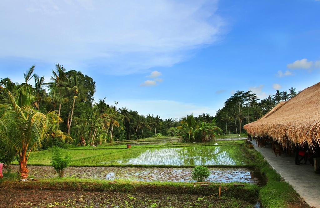 Sapulidi Resort Spa & Gallery Bali Убуд Екстер'єр фото