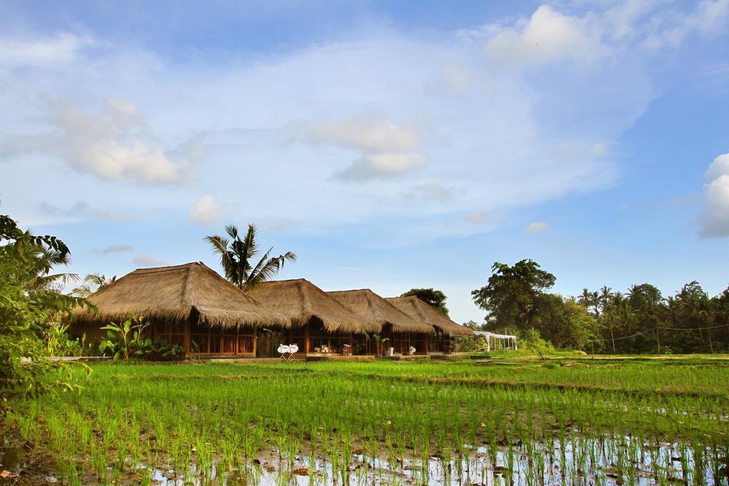 Sapulidi Resort Spa & Gallery Bali Убуд Екстер'єр фото