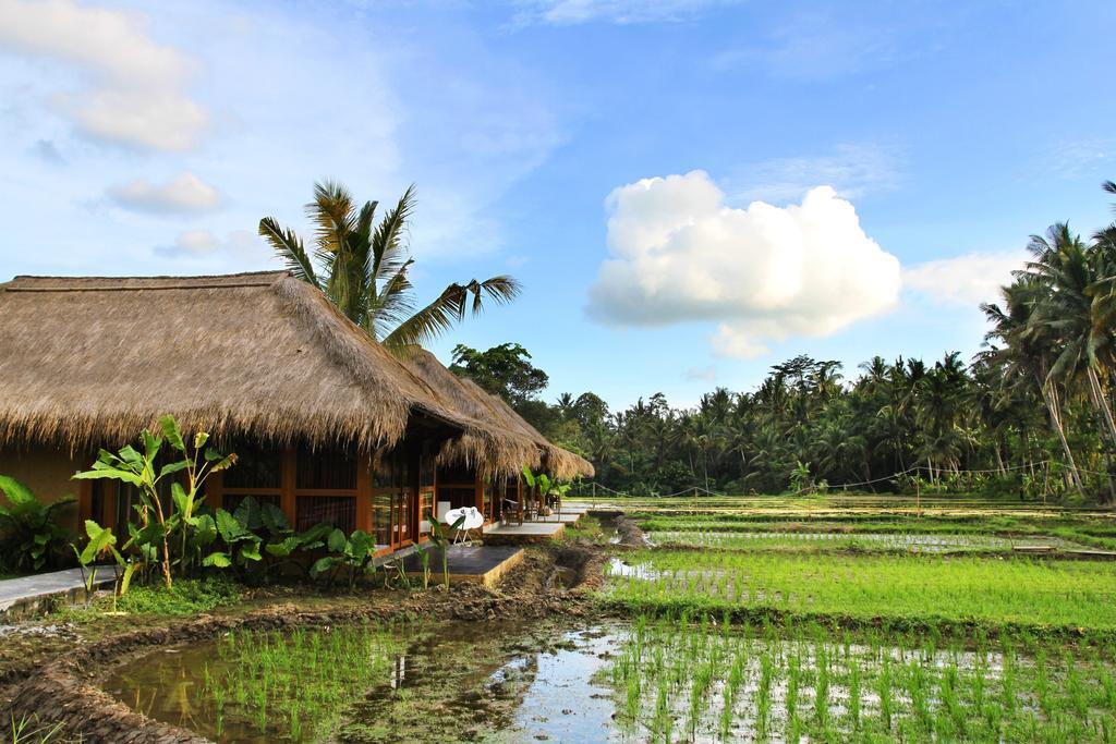 Sapulidi Resort Spa & Gallery Bali Убуд Екстер'єр фото