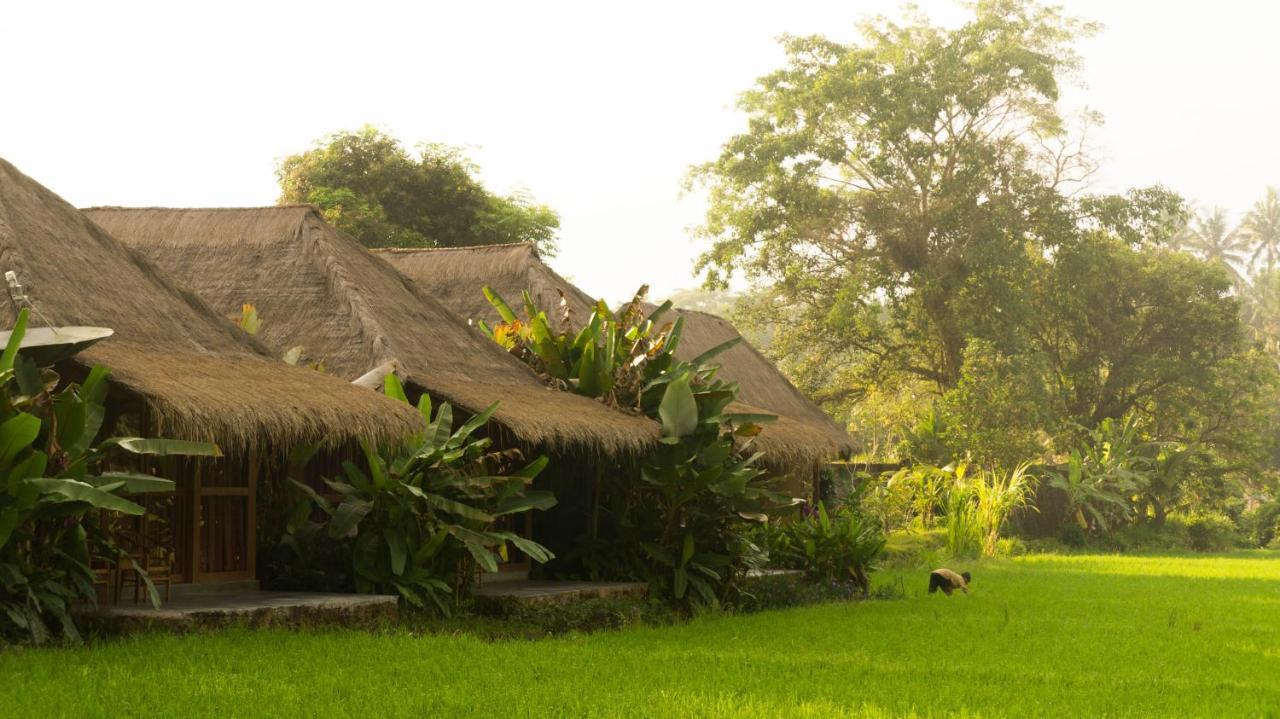 Sapulidi Resort Spa & Gallery Bali Убуд Екстер'єр фото